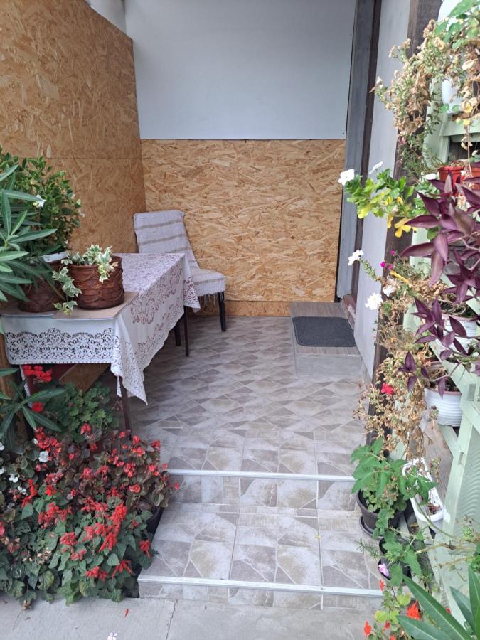 Apartment Capital Town Vk 14 Нови Сад Екстериор снимка